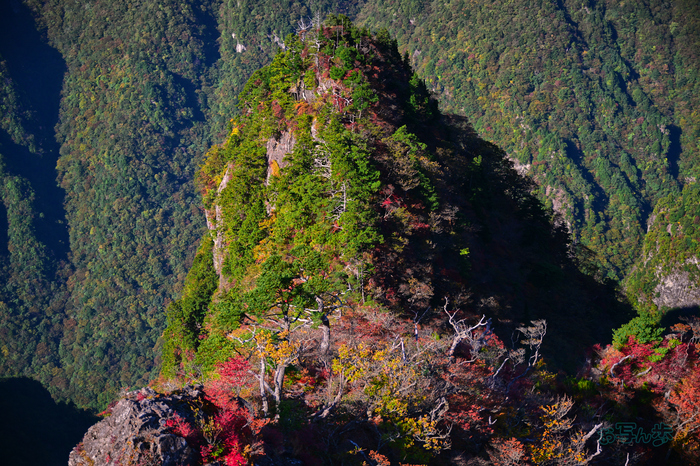 DSC_1476co,52 mm,F2.8,iso100(JPEG).jpg