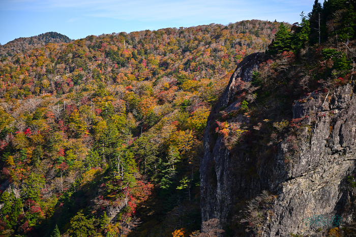 DSC_1512co,70 mm,F2.8,iso100(JPEG).jpg