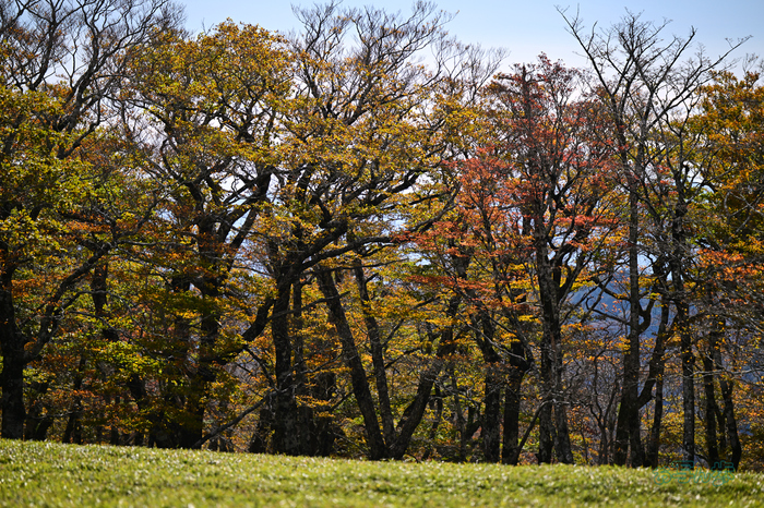 DSC_1584co,165 mm,F2.8,iso100(JPEG).jpg