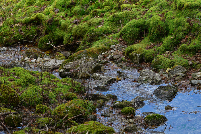 DSC_1761,150 mm,F11,1-160 秒,iso1000(JPEG).jpg