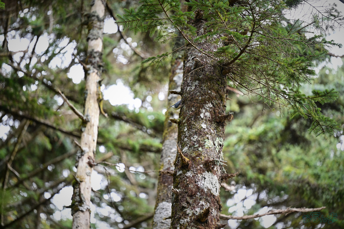 DSC_1873,175 mm,F2.8,1-200 秒,iso450(JPEG).jpg