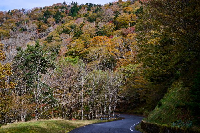 DSC_1971co,47 mm,F9,iso100(High efficiency  RAW)_1.jpg