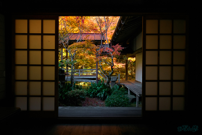 SDIM6765,26 mm,F11,1-25 秒,iso800(DNG).jpg