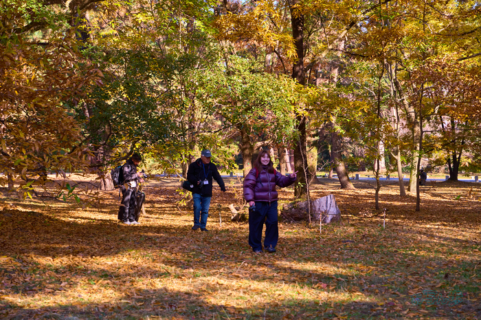 SDIM9154co,78 mm,F6.2,iso640(DNG).jpg