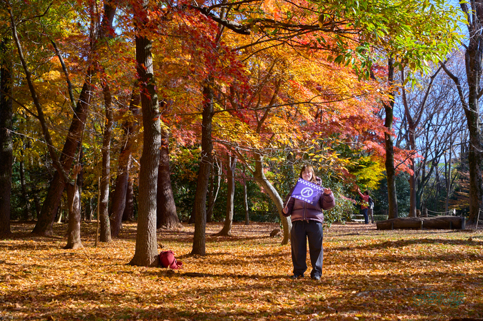 SDIM9163co,53 mm,F8,iso320(DNG).jpg