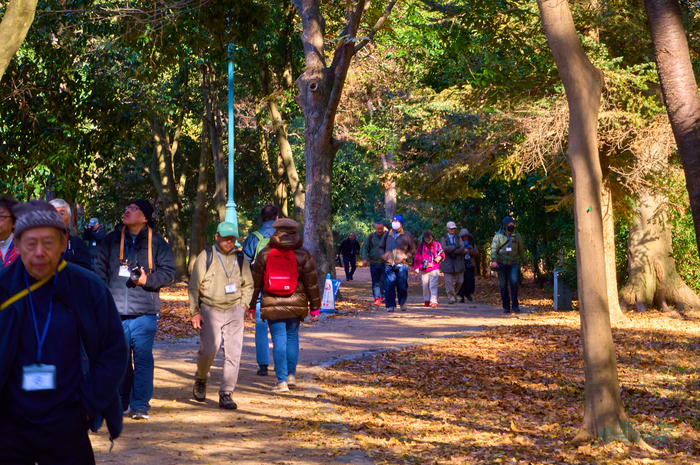 SDIM9172co,114 mm,F22,iso6400(DNG).jpg