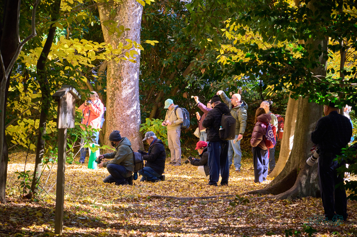 SDIM9184co,157 mm,F6.3,iso4000(DNG).jpg