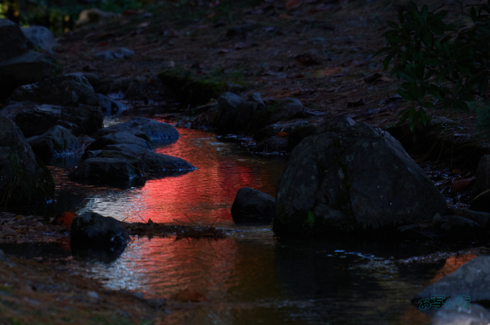 SDIM9199co,200 mm,F6.3,iso640(DNG).jpg