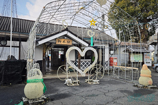 20260124_113608,5 mm,F1.8,iso25_1-1250 秒(JPEG).jpg