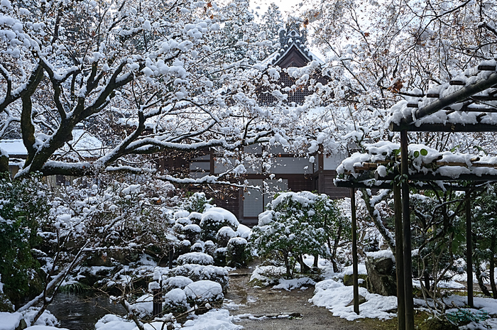 SDIM0040,39 mm,F13,iso400_1-40 秒(DNG).jpg