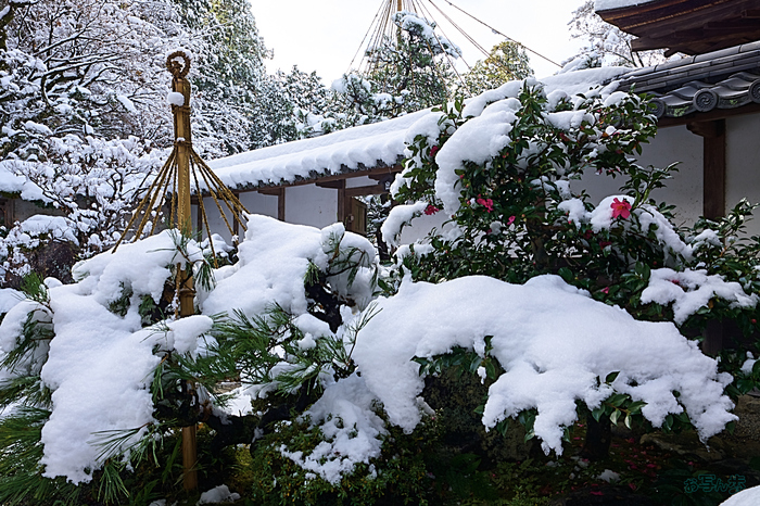 SDIM0080,29 mm,F11,iso250_1-30 秒(DNG).jpg