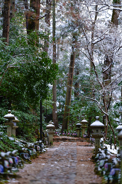 SDIM0111,135 mm,F1.4,iso100_1-250 秒(JPEG).jpg