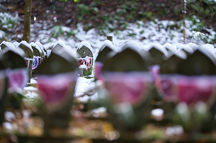 SDIM0146,135 mm,F1.4,iso100_1-200 秒(DNG).jpg