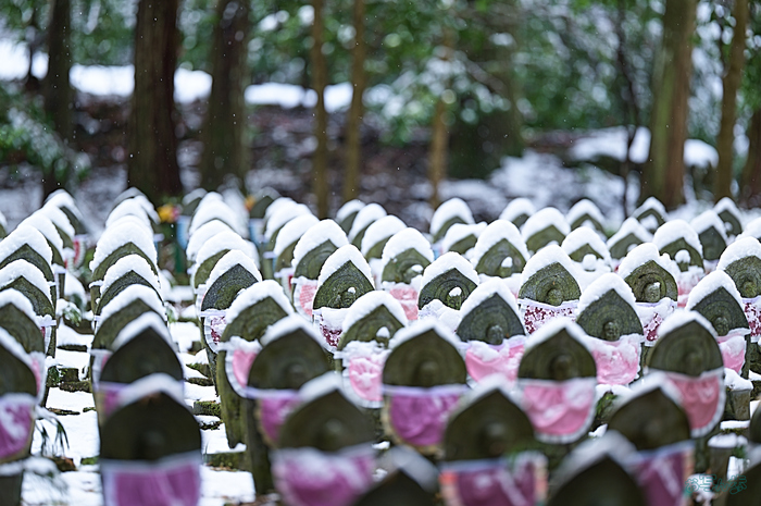 SDIM0149,135 mm,F1.4,iso100_1-320 秒(DNG).jpg