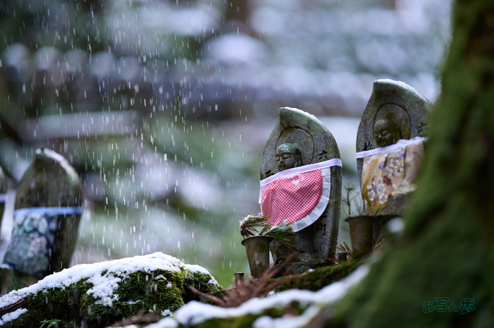 SDIM0150co,135 mm,F1.4,iso100(DNG).jpg