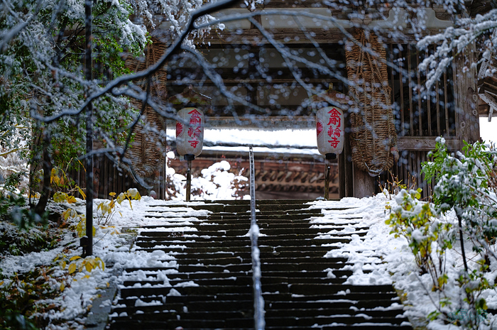 SDIM0169,135 mm,F1.4,iso100_1-800 秒(JPEG).jpg