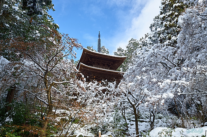 SDIM0206,29 mm,F10,iso160_1-30 秒(DNG) 1.jpg