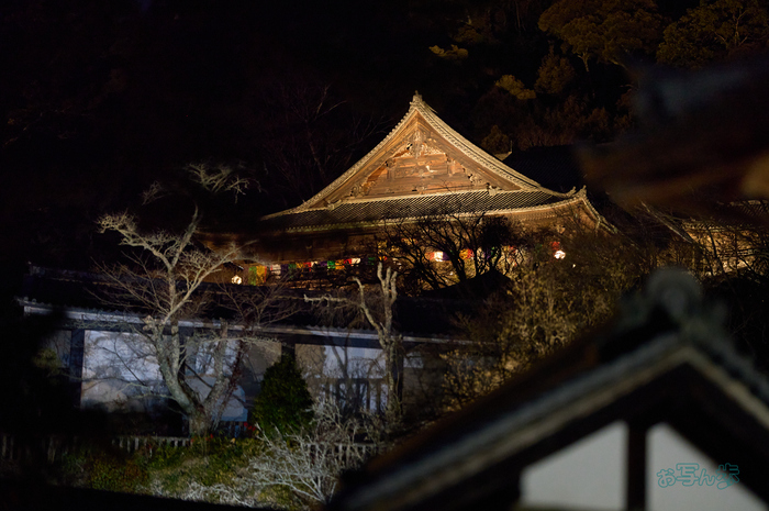 SDIM0239co,135 mm,F1.4,iso6400(DNG).jpg