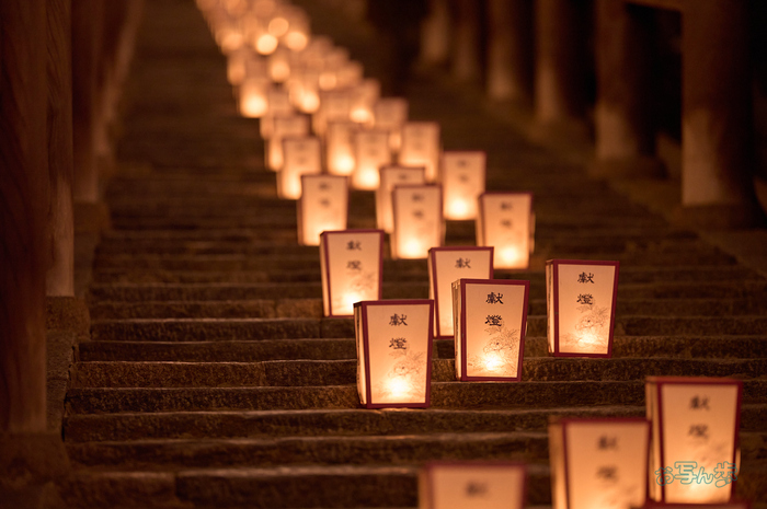 SDIM0297co,135 mm,F1.4,iso2500(DNG).jpg