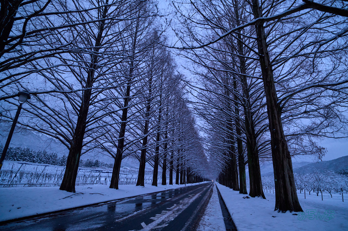 SDIM0855co,20 mm,F8,iso3200(DNG).jpg