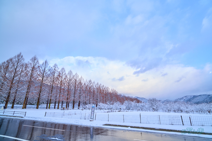 SDIM1077co,20 mm,F10,iso100(DNG).jpg