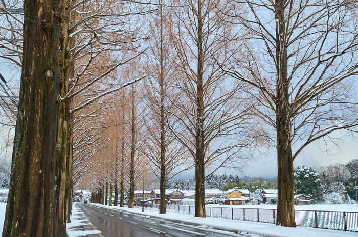 SDIM1115co,48 mm,F10,iso100(DNG).jpg