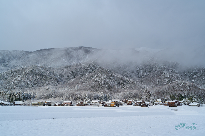 SDIM1159co,42 mm,F10,iso100(DNG).jpg