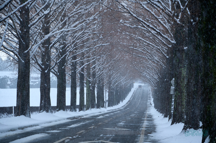 SDIM1191co,179 mm,F10,iso1600(DNG).jpg