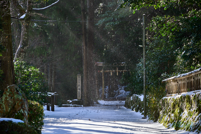 SDIM1364co,135 mm,F9,iso500(DNG).jpg