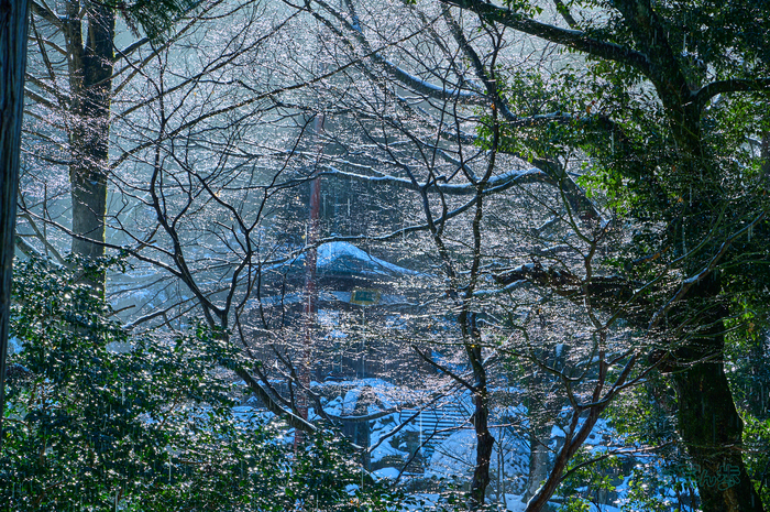 SDIM1368co,118 mm,F13,iso160(DNG).jpg