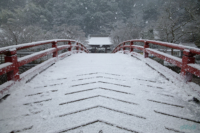 SDIM2047,20 mm,F9,iso1600_1-320 秒(JPEG).jpg