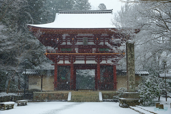 SDIM2075,46 mm,F9,iso3200_1-1000 秒(JPEG).jpg