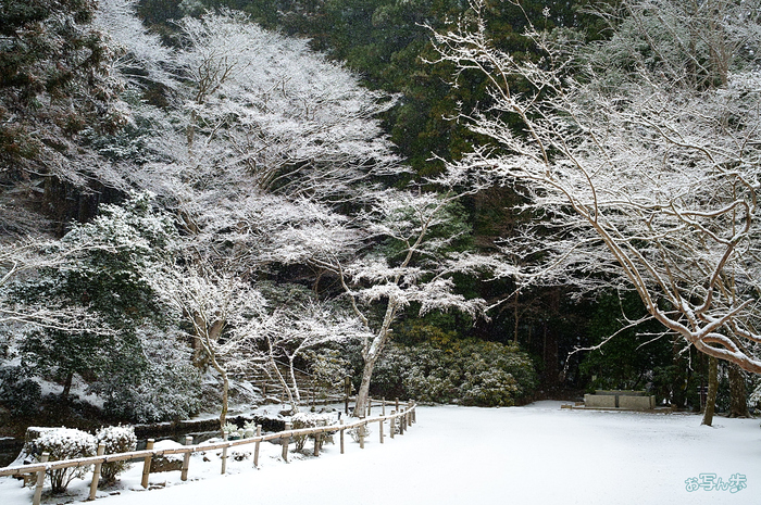 SDIM2101,36 mm,F7.1,iso3200_1-1600 秒(JPEG).jpg