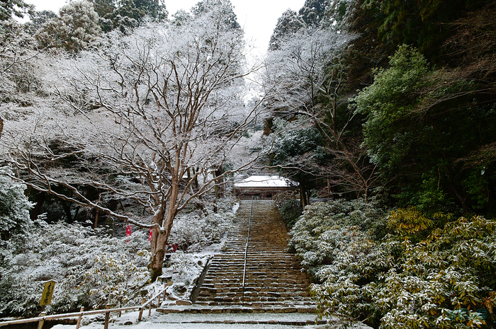 SDIM2129,20 mm,F9,iso125_1-20 秒(JPEG).jpg