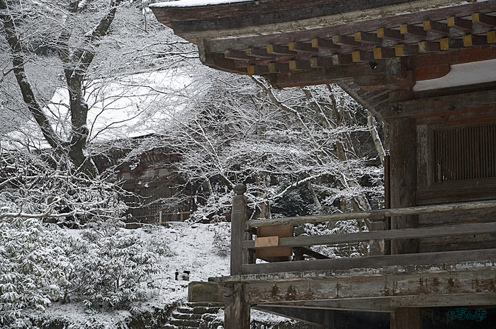 SDIM2174,85 mm,F11,iso500_1-80 秒(DNG) 1.jpg