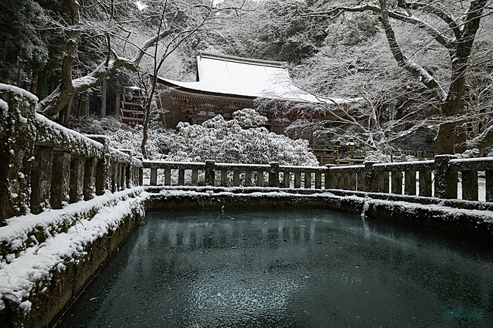 SDIM2223,20 mm,F10,iso200_1-20 秒(DNG).jpg