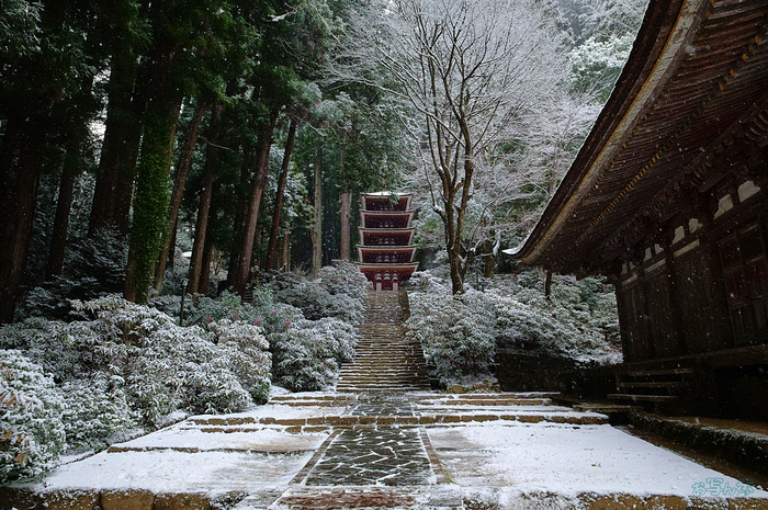 SDIM2260,24 mm,F10,iso3200_1-400 秒(JPEG).jpg