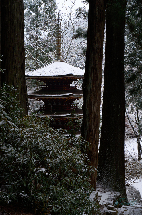 SDIM2336co,87 mm,F11,iso640(DNG).jpg