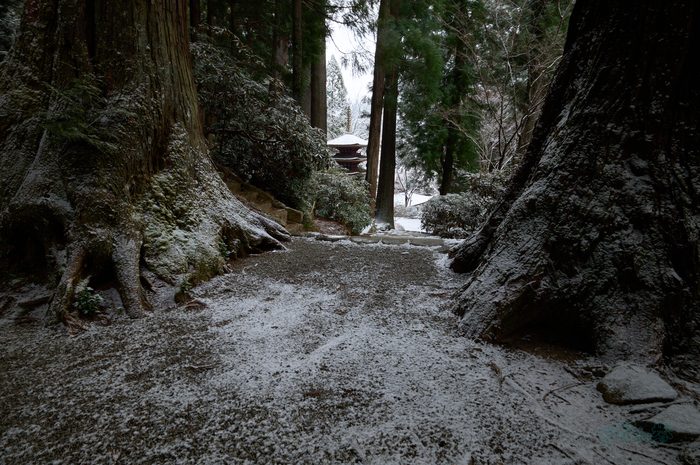 SDIM2347co,20 mm,F11,iso250(DNG).jpg