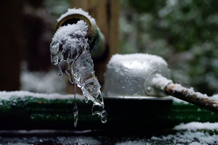 SDIM2409co,58 mm,F7.1,iso25600(JPEG).jpg