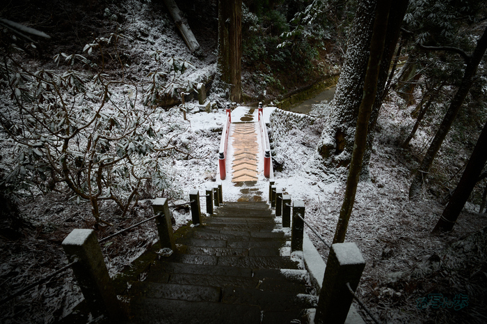 SDIM2419co,20 mm,F5.8,iso800(DNG).jpg