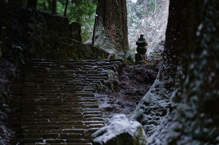 SDIM2427co,135 mm,F1.4,iso800(JPEG).jpg