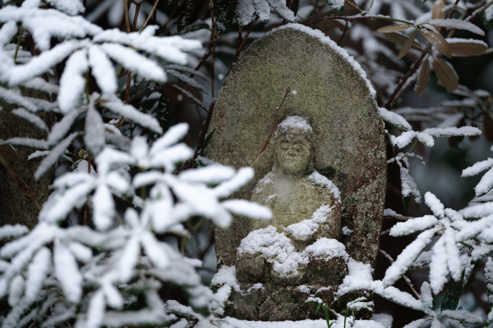 SDIM2462co,135 mm,F1.4,iso800(JPEG).jpg