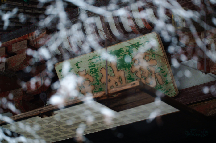 SDIM2539co,135 mm,F1.4,iso1600(JPEG)_1.jpg