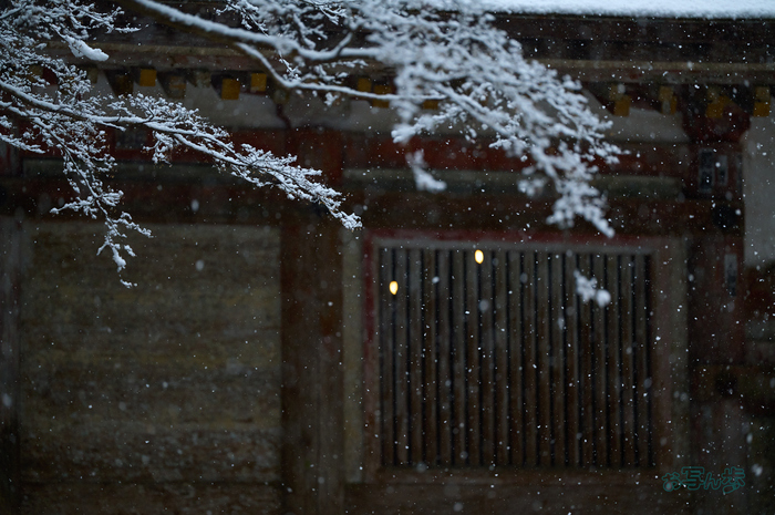 SDIM2573co,135 mm,F1.4,iso1600(DNG).jpg