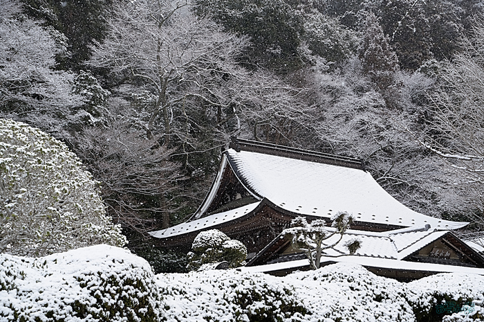 SDIM2642,49 mm,F10,iso400_1-320 秒(DNG).jpg