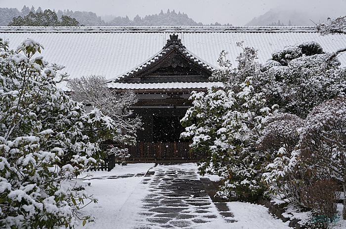 SDIM2647,46 mm,F10,iso400_1-640 秒(DNG).jpg