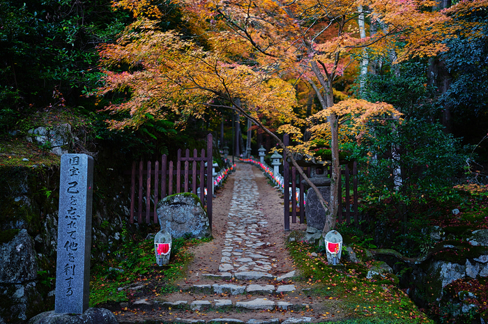 SDIM8266,35 mm,F1.2,iso100_1-50 秒(JPEG).jpg