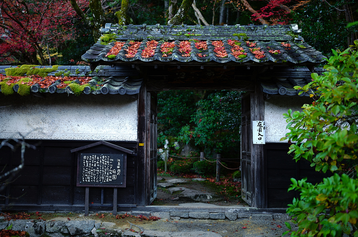 SDIM8275,35 mm,F1.4,iso100_1-80 秒(JPEG).jpg