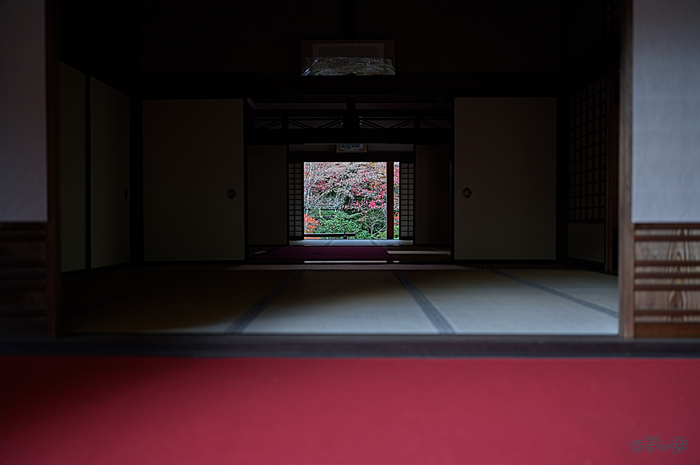 SDIM8293,35 mm,F1.2,iso100_1-50 秒(DNG).jpg